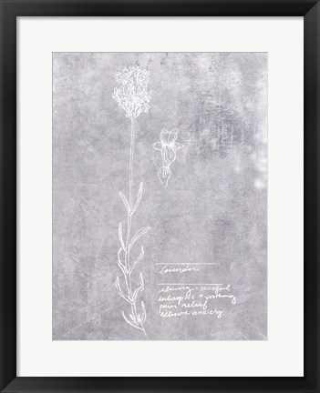 Framed Essential Botanicals II Print