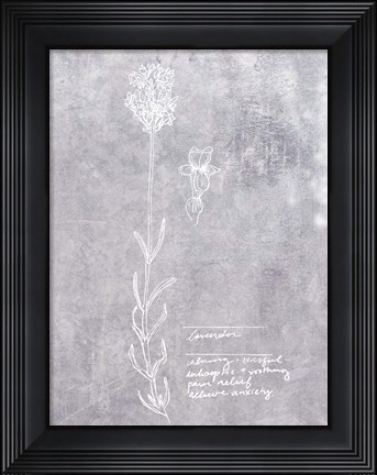 Framed Essential Botanicals II Print