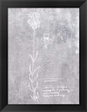 Framed Essential Botanicals II Print