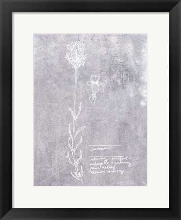 Framed Essential Botanicals II Print