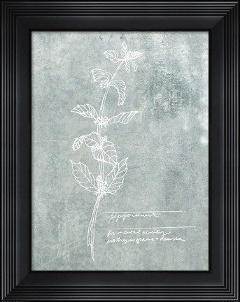 Framed Essential Botanicals III Print