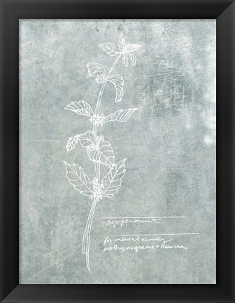 Framed Essential Botanicals III Print