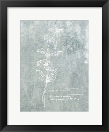 Framed Essential Botanicals III Print