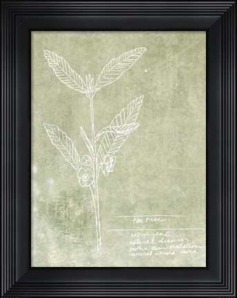 Framed Essential Botanicals IV Print