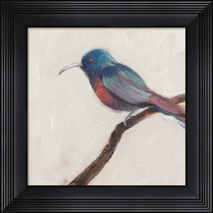 Framed Bird Profile I Print