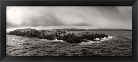 Framed Island of arctic birds and sea lions, Beagle Channel, Patagonia, Argentina Print