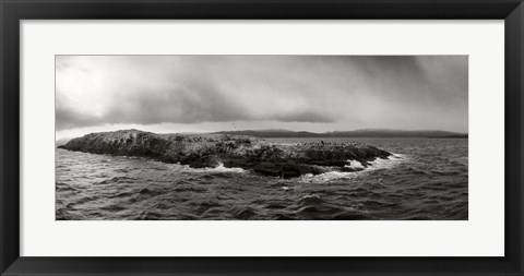 Framed Island of arctic birds and sea lions, Beagle Channel, Patagonia, Argentina Print