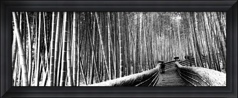 Framed Stepped walkway passing through a bamboo forest, Arashiyama, Kyoto, Japan Print