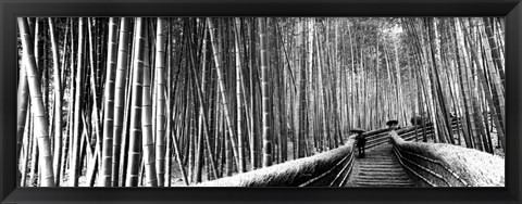 Framed Stepped walkway passing through a bamboo forest, Arashiyama, Kyoto, Japan Print