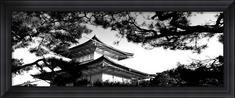 Framed Low angle view of trees in front of a temple, Kinkaku-ji Temple, Kyoto City, Japan Print