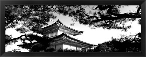 Framed Low angle view of trees in front of a temple, Kinkaku-ji Temple, Kyoto City, Japan Print