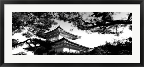 Framed Low angle view of trees in front of a temple, Kinkaku-ji Temple, Kyoto City, Japan Print