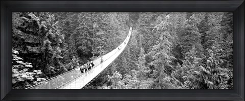 Framed Capilano Bridge, Suspended Walk, Vancouver, British Columbia, Canada BW Print