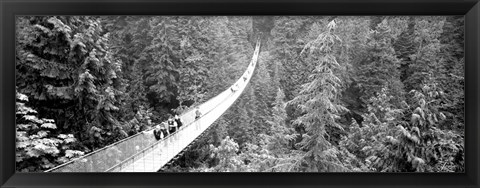 Framed Capilano Bridge, Suspended Walk, Vancouver, British Columbia, Canada BW Print