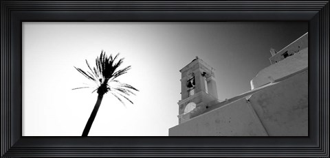 Framed Low angle view of a palm tree near a church , Ios, Greece Print
