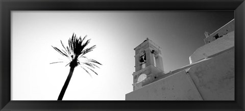 Framed Low angle view of a palm tree near a church , Ios, Greece Print