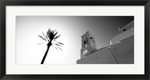 Framed Low angle view of a palm tree near a church , Ios, Greece Print