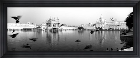 Framed Reflection of Golden Temple, Amritsar, Punjab, India (black &amp; white) Print