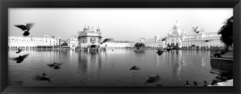 Framed Reflection of Golden Temple, Amritsar, Punjab, India (black &amp; white) Print