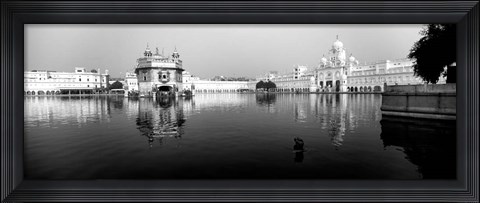 Framed Temple at the waterfront, Golden Temple, Amritsar, Punjab, India Print