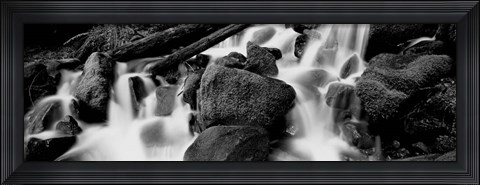 Framed Cascading waterfall in a rainforest, Olympic National Park, Washington State Print