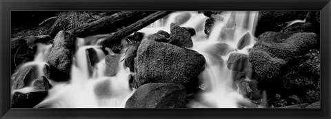 Framed Cascading waterfall in a rainforest, Olympic National Park, Washington State Print