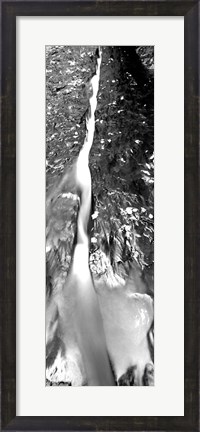 Framed Stream flowing through rocks, North Creek, Zion National Park, Utah Print