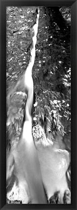 Framed Stream flowing through rocks, North Creek, Zion National Park, Utah Print