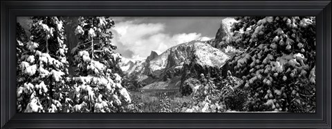 Framed Snowy trees in winter, Yosemite Valley, Yosemite National Park, California Print