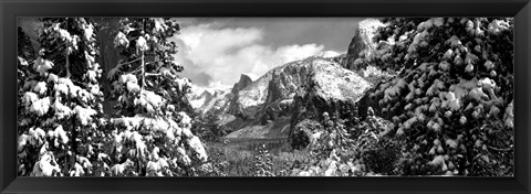 Framed Snowy trees in winter, Yosemite Valley, Yosemite National Park, California Print