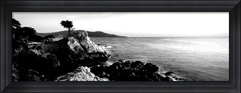 Framed Lone Cypress Tree, 17-Mile Drive, Carmel, California Print