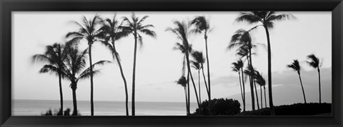 Framed Silhouette of palm trees at dusk, Hawaii Print