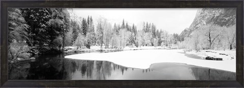 Framed Snow covered trees in a forest, Yosemite National Park, California Print