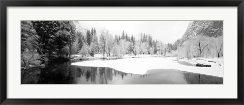 Framed Snow covered trees in a forest, Yosemite National Park, California Print