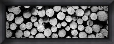 Framed Marked Wood In A Timber Industry, Black Forest, Germany BW Print