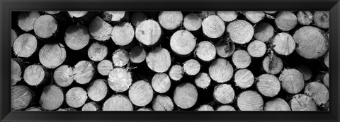 Framed Marked Wood In A Timber Industry, Black Forest, Germany BW Print