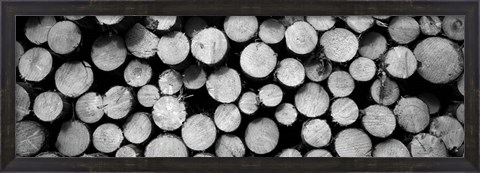 Framed Marked Wood In A Timber Industry, Black Forest, Germany BW Print