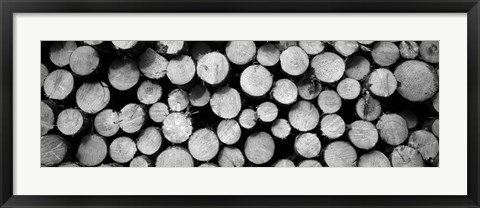 Framed Marked Wood In A Timber Industry, Black Forest, Germany BW Print