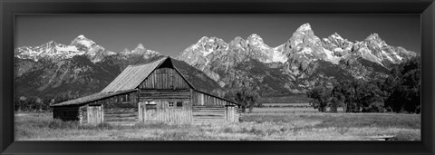 Framed Old barn on a landscape, Grand Teton National Park, Wyoming Print