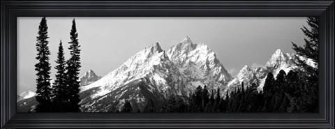 Framed Cathedral Group Grand Teton National Park WY Print