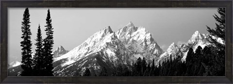 Framed Cathedral Group Grand Teton National Park WY Print