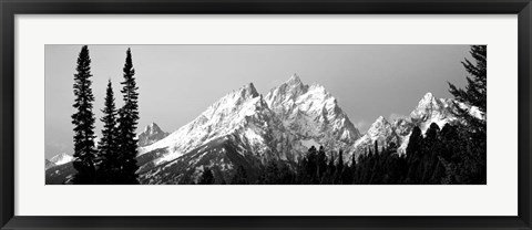 Framed Cathedral Group Grand Teton National Park WY Print