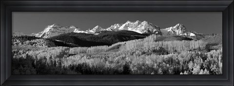 Framed Colorado, Rocky Mountains, aspens, autumn Print