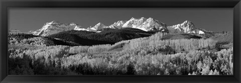 Framed Colorado, Rocky Mountains, aspens, autumn Print