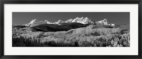 Framed Colorado, Rocky Mountains, aspens, autumn Print