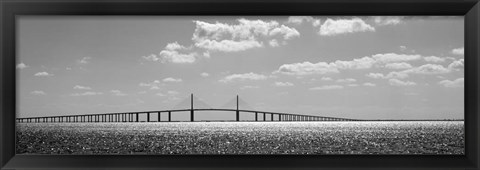 Framed Bridge across a bay, Sunshine Skyway Bridge, Tampa Bay, Florida Print