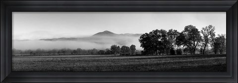 Framed Fog over mountain, Cades Cove, Great Smoky Mountains National Park, Tennessee Print