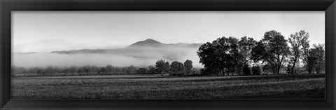 Framed Fog over mountain, Cades Cove, Great Smoky Mountains National Park, Tennessee Print