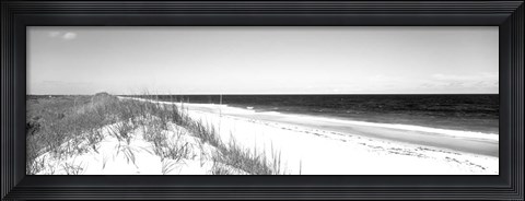 Framed Cape Hatteras National Park, Outer Banks, North Carolina BW Print
