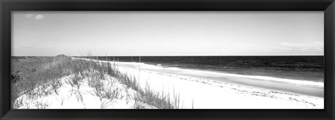 Framed Cape Hatteras National Park, Outer Banks, North Carolina BW Print